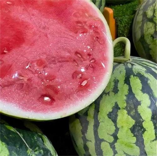 潘姥姥吃麒麟瓜视频播放,视频播放引网友热议