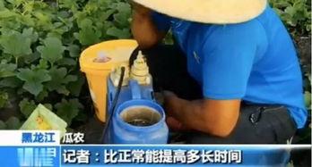 购买吃瓜视频会被拘留吗,购买吃瓜视频触犯法律？揭秘网络拘留真相