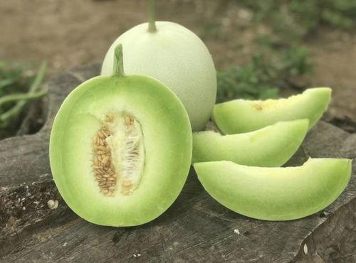 甜玉瓜怎么吃最好吃视频,视频教你如何吃出最佳口感