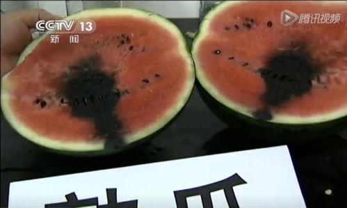 带你吃瓜蘑菇视频大全,尽享美味与知识的视频大全